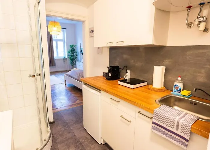 Traisengasse Apartment Wien